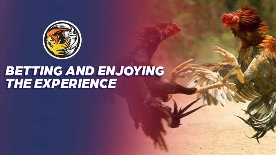 gba 777 vip how to bet a round robin